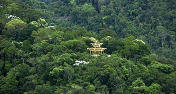 Floresta da Tijuca